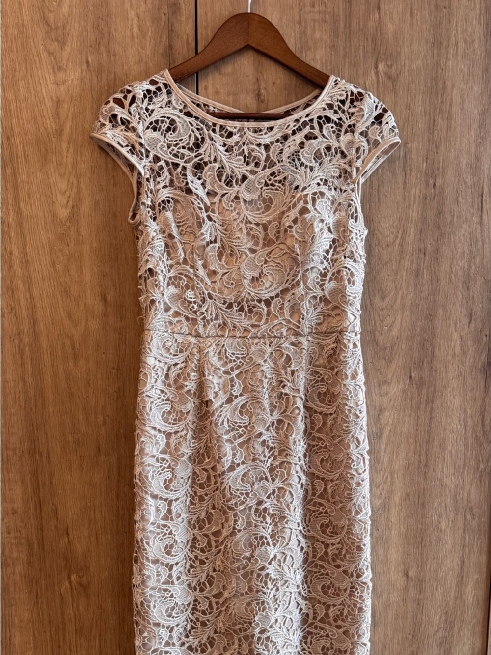 Adrianna Papell Women's Champagne Lace Column Wedding Prom Formal Maxi Dress 6